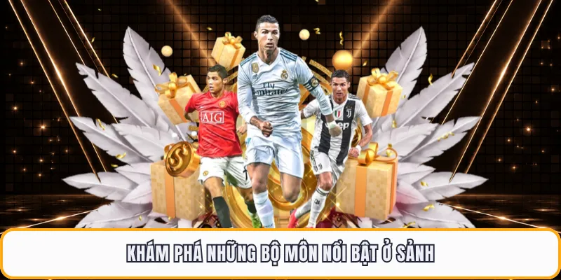 Khám phá những bộ môn nổi bật ở sảnh 